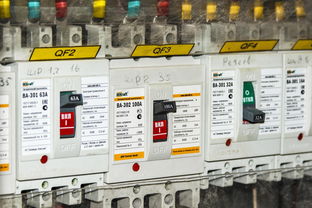 开云网站-体育赛事安全管理体系构建与实施效果，体育赛事安全监管