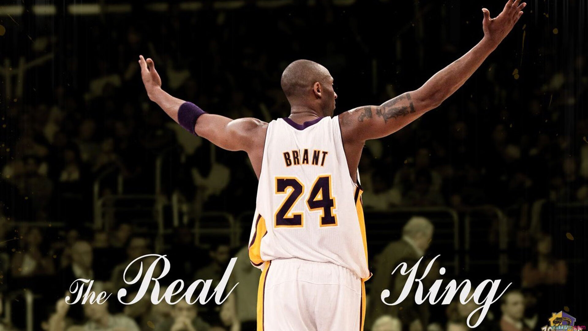 《ApexLegends》“极夜风暴”地图全新登场,战术无限升级!